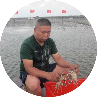 良蟹真品-良种选育